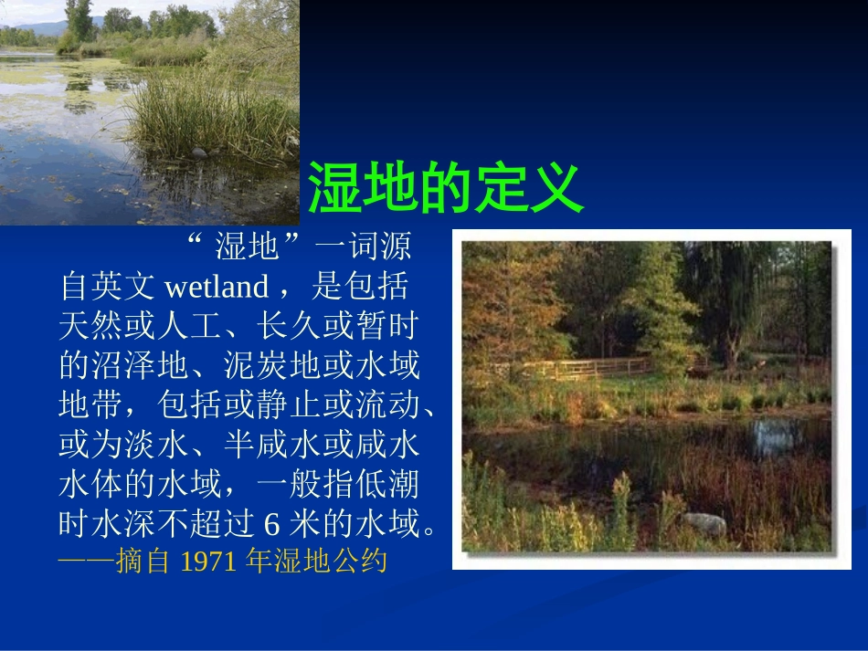 人工湿地介绍与设计_第2页