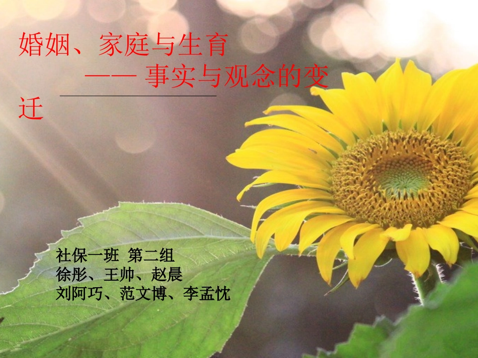 人口经济学 婚姻 家庭及生育的事实与变迁_第1页
