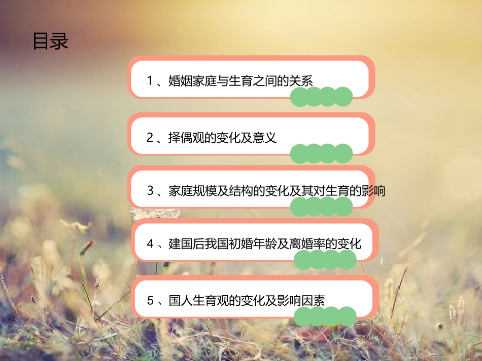 人口经济学 婚姻 家庭及生育的事实与变迁_第2页
