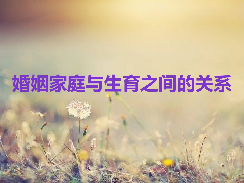 人口经济学 婚姻 家庭及生育的事实与变迁_第3页