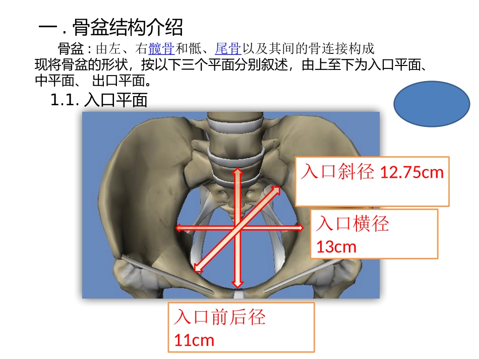 人体骨盆的结构介绍20150806_第2页