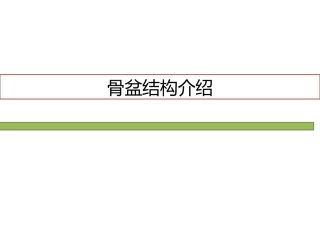 人体骨盆的结构介绍20150806