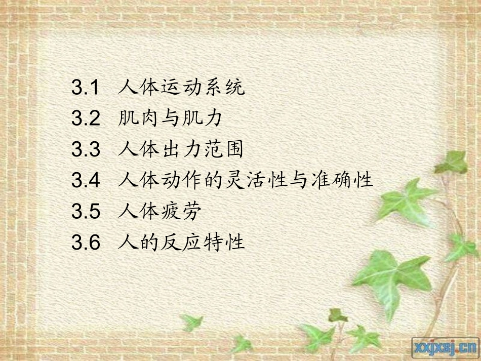 人体工程学第三章人体运动系统及其特性_第2页