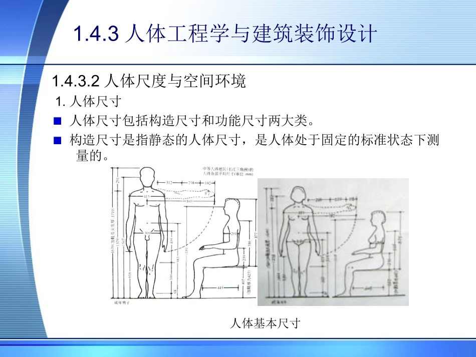 人体工程学与建筑装饰设计_第2页