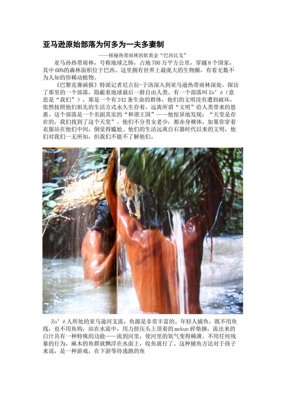 亚马逊原始部落为何多为一夫多妻制——探秘热带雨林的软黄金“巴西比戈”_第1页