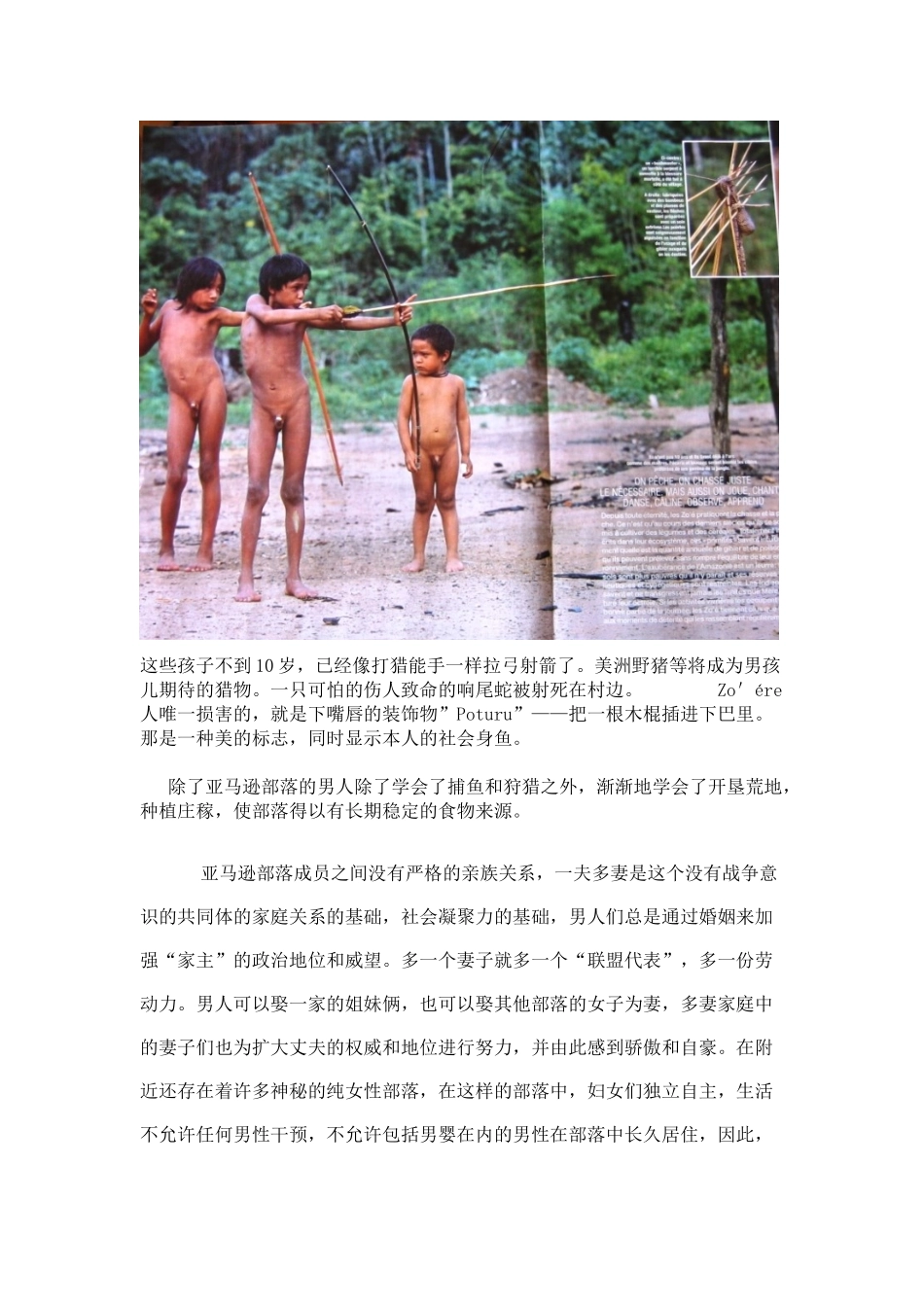 亚马逊原始部落为何多为一夫多妻制——探秘热带雨林的软黄金“巴西比戈”_第2页