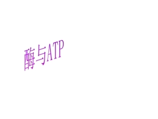 二轮复习___酶与ATP专题