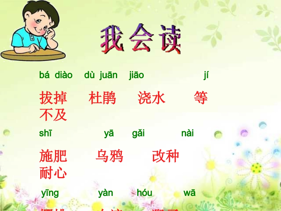 二年级下《猴子种果树》_课件_第3页