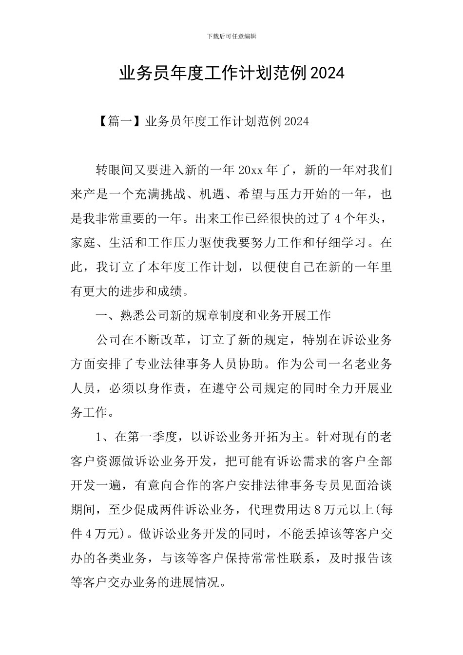 业务员年度工作计划范例2024_第1页
