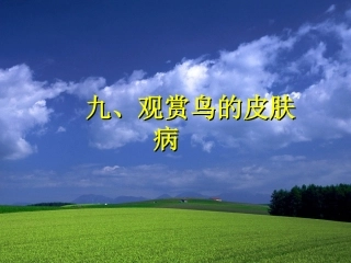 九、观赏鸟的皮肤病
