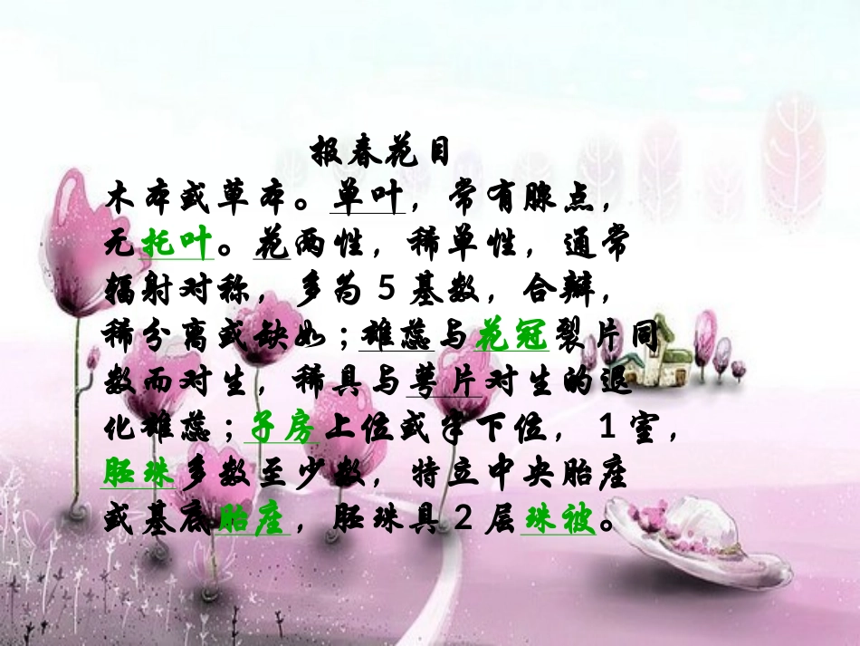 丹东植物搜集_第1页