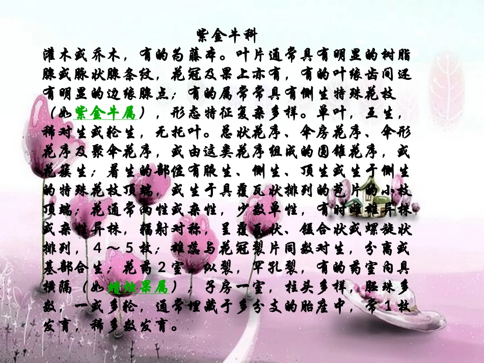 丹东植物搜集_第2页