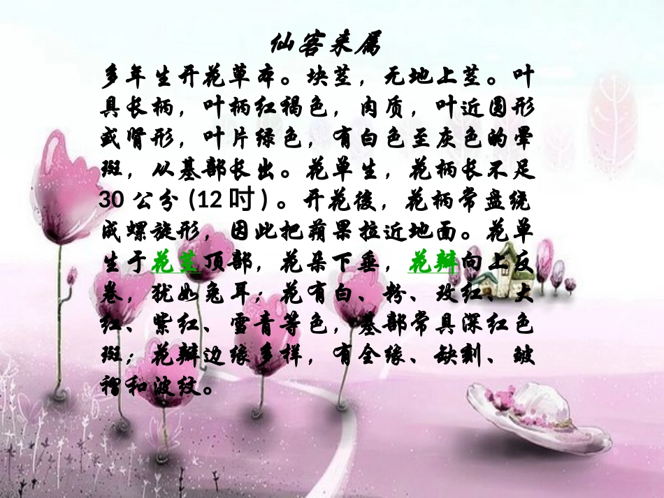 丹东植物搜集_第3页