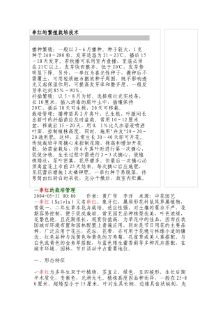 串红的繁殖栽培技术