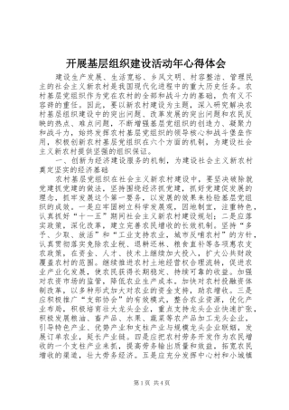 开展基层组织建设活动年心得体会