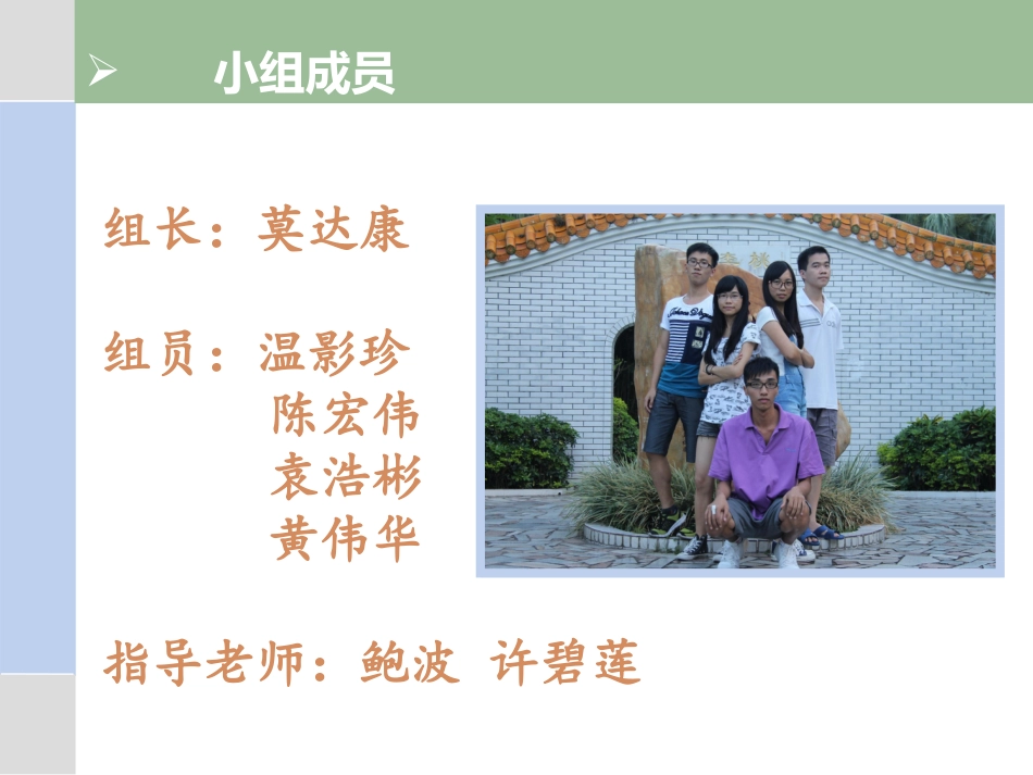 中药提取物抗菌防腐_第2页