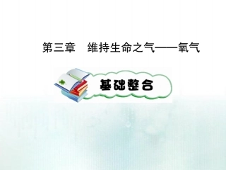 中考化学第三章  维持生命之气