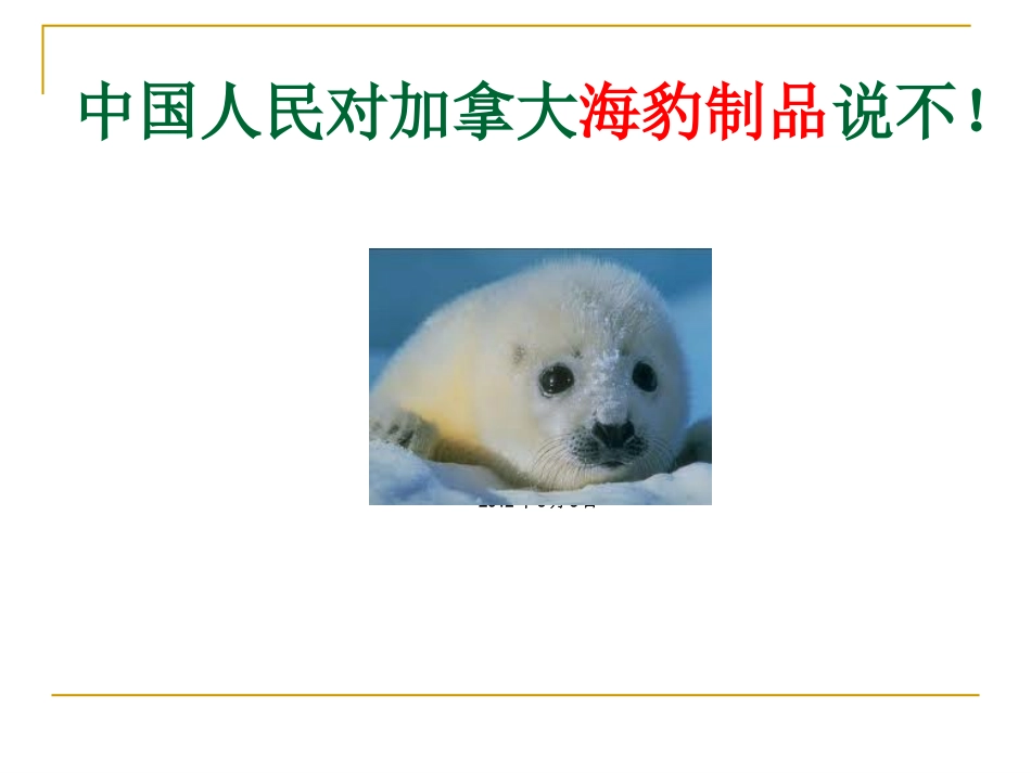 中国青年动保联 盟动保大课堂PPT20120510_第1页