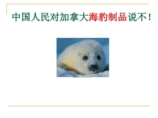中国青年动保联 盟动保大课堂PPT20120510