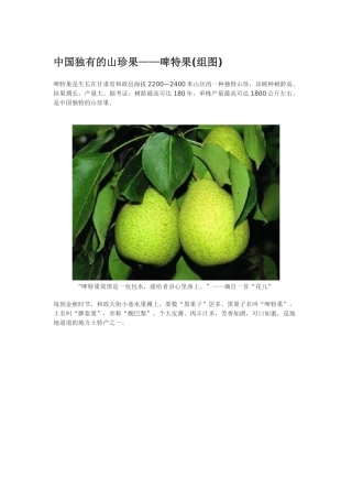 中国独有的山珍果