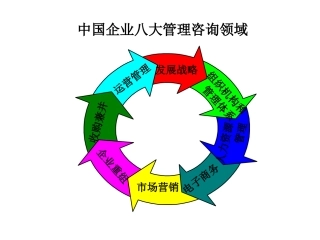 中国企业管理咨询提要