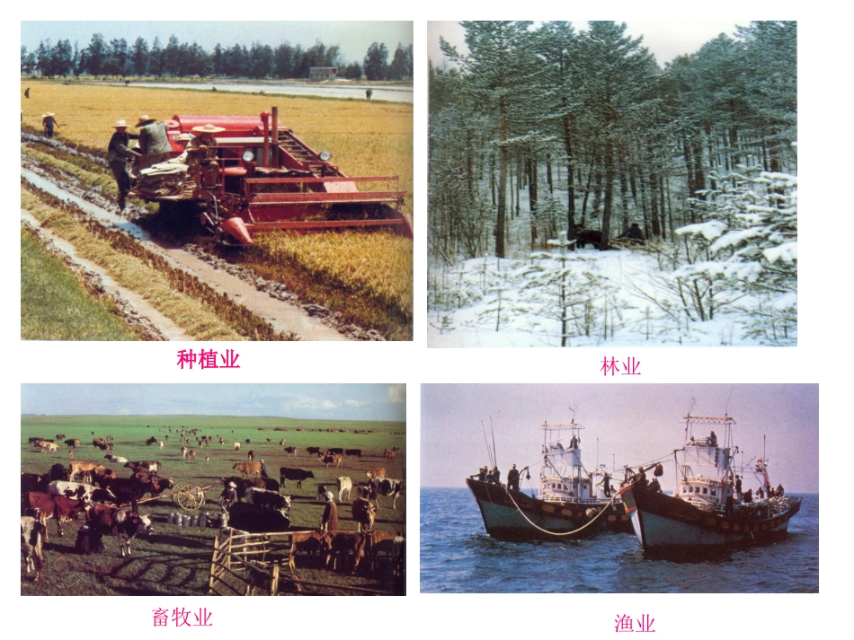 中国农业发展的区域差异_第2页