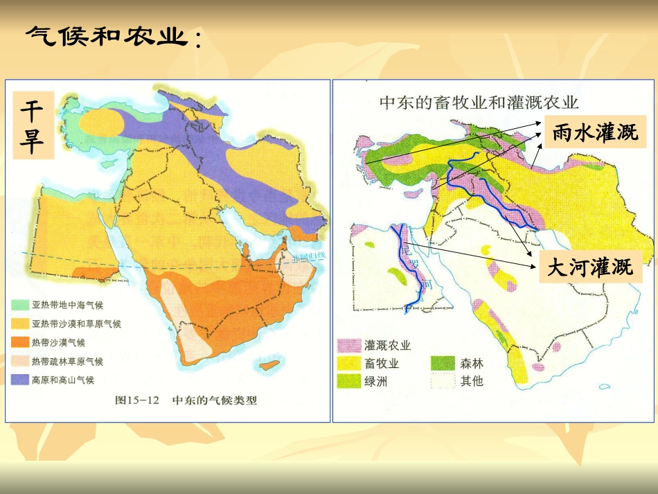 中东地区 农业和畜牧业_第2页