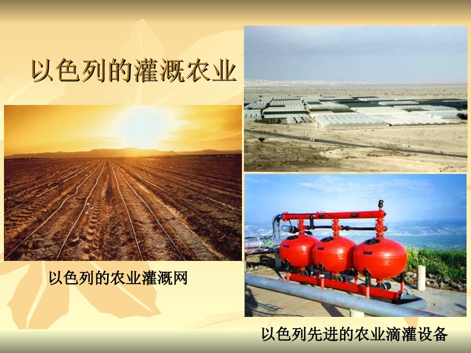 中东地区 农业和畜牧业_第3页