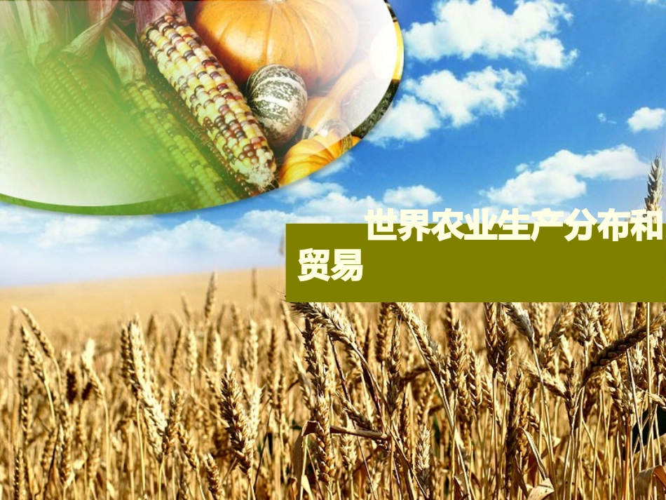 世界农业生产分布和贸易_第1页