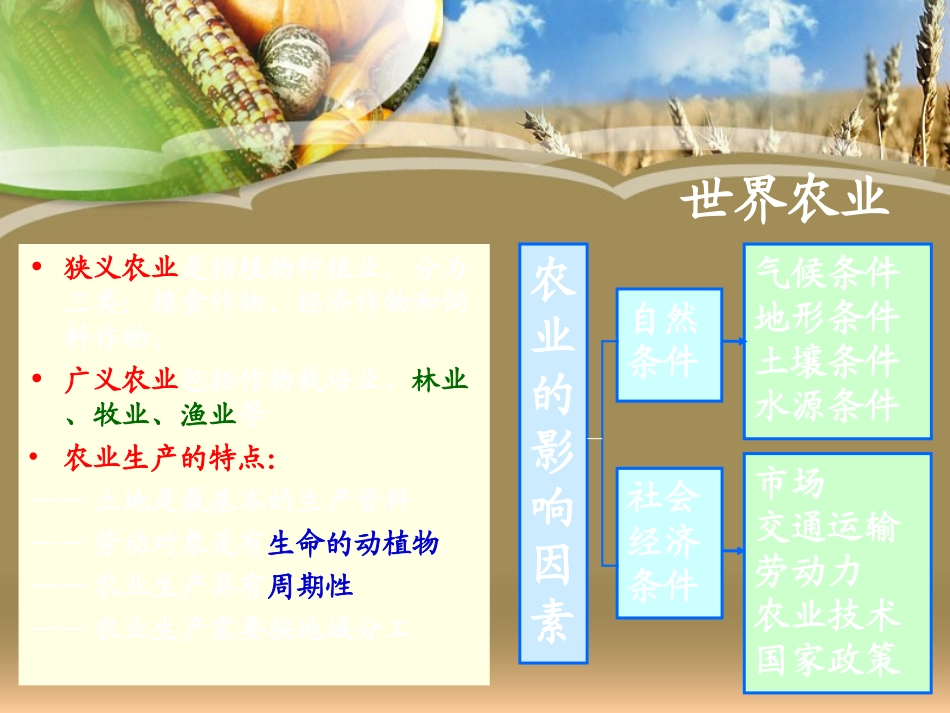 世界农业生产分布和贸易_第3页