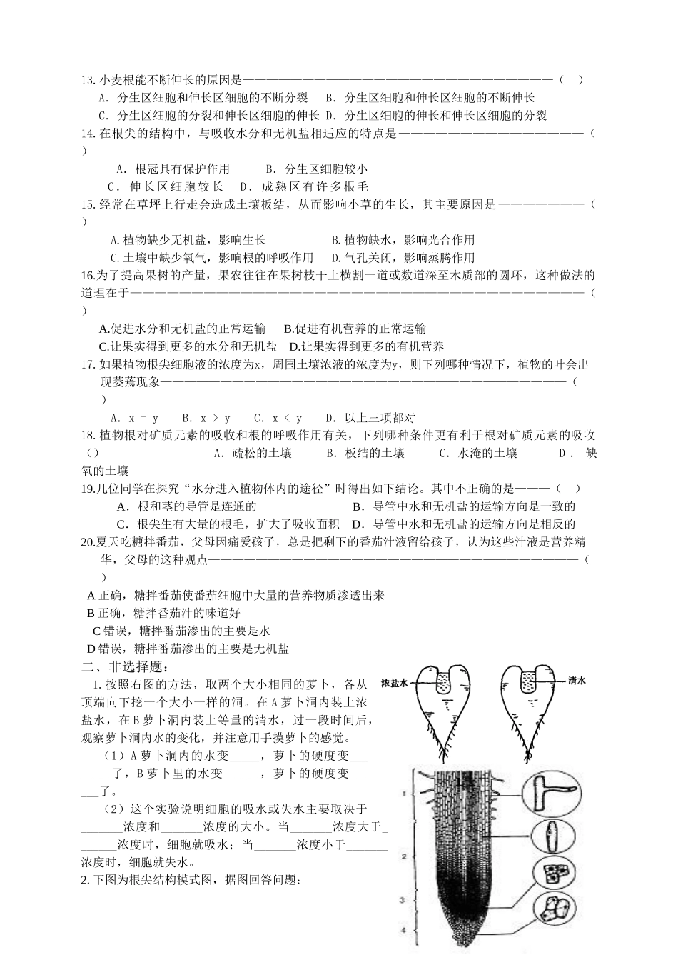 专题练习二：根、茎的形态结构与生理_第2页