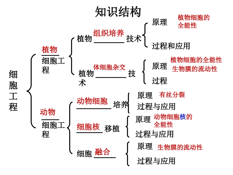 专题二细胞工程复习课件_第2页