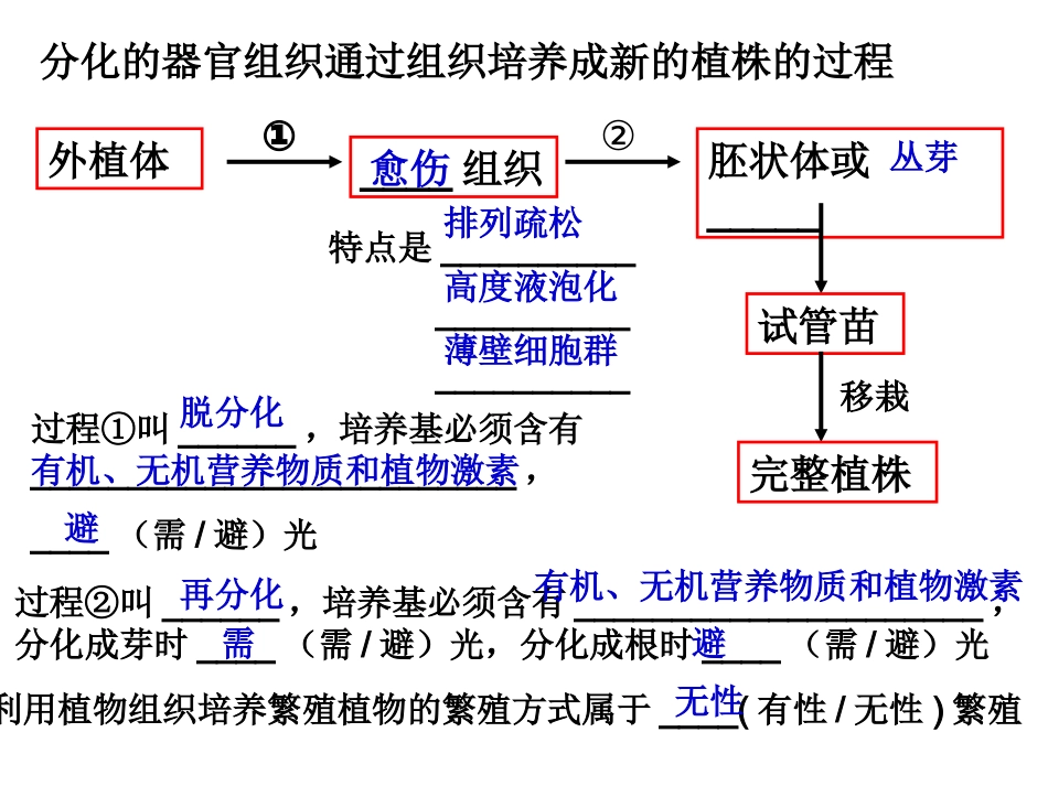 专题二细胞工程复习课件_第3页