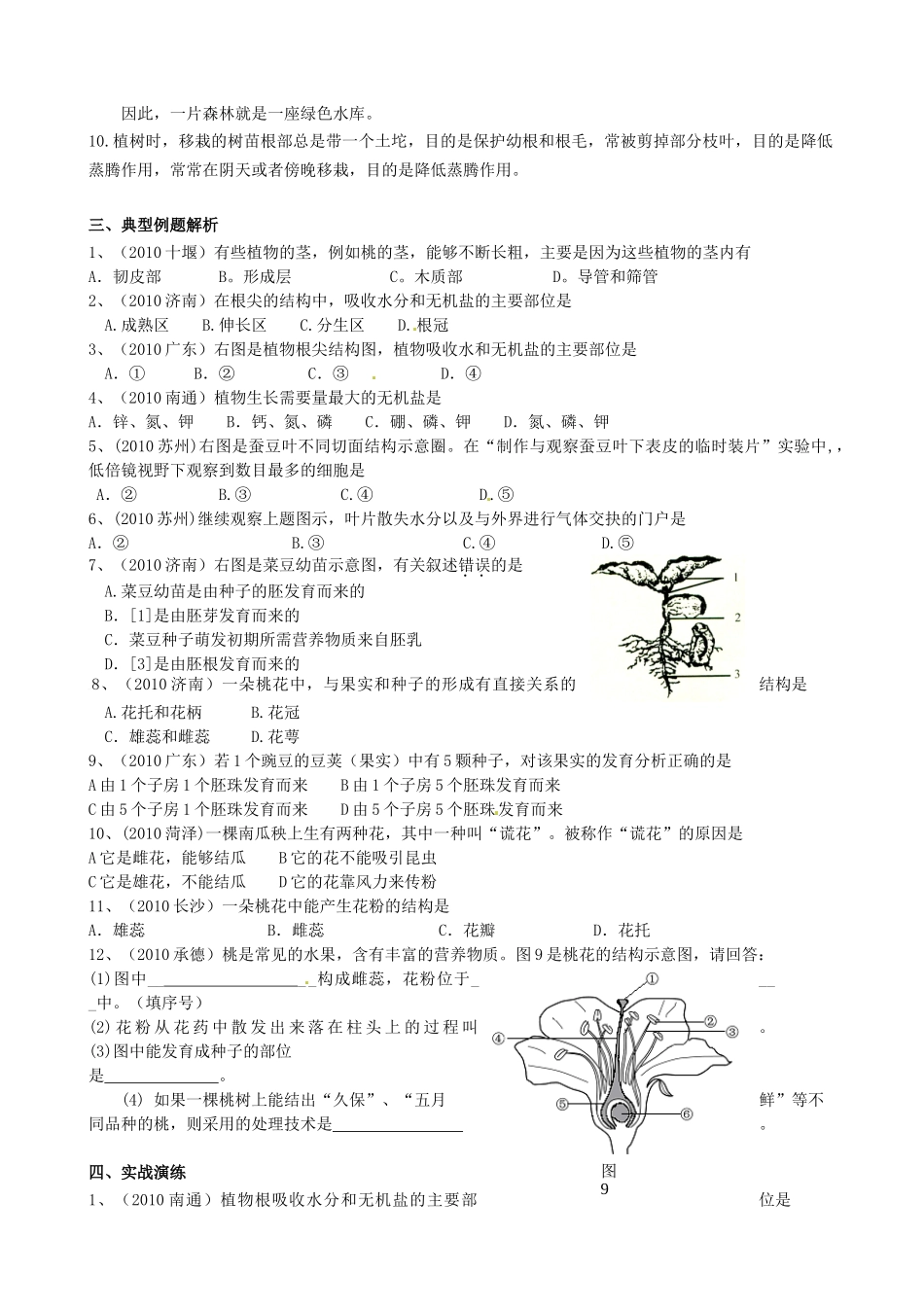 专题5 开花与结果_第3页