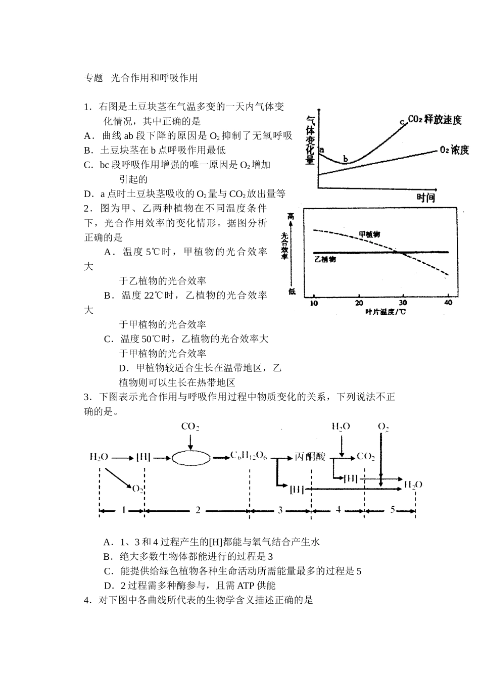 专题   光合作用和呼吸作用_第1页