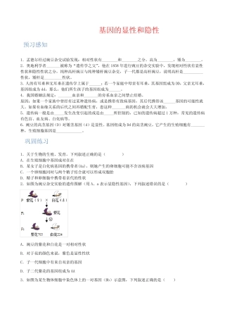 人教版生物 八年级下册 基因的显性和隐性(附解析版) 