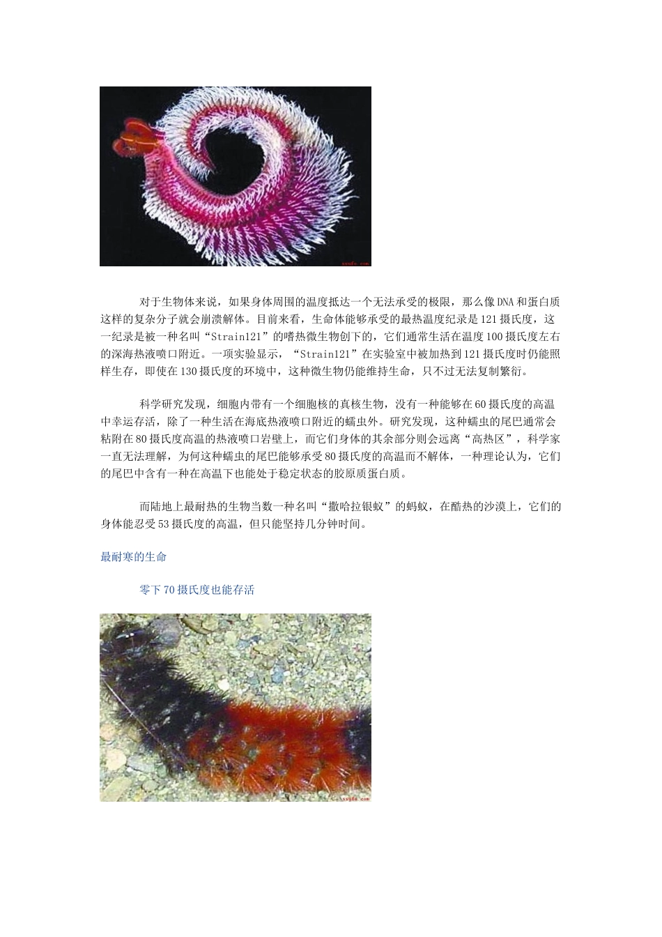 不可思议：全球六大之最动物_第2页