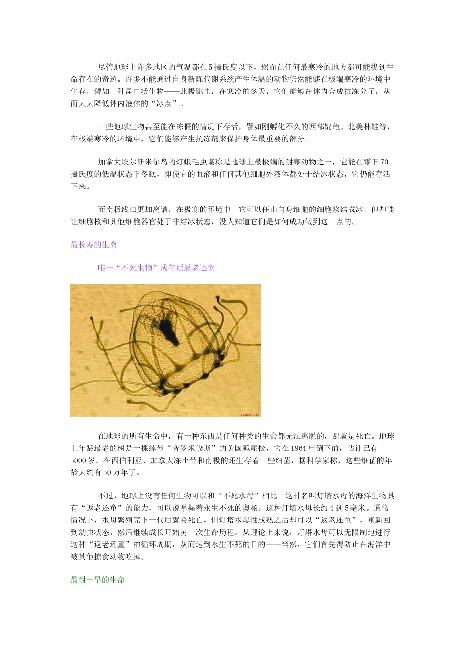 不可思议：全球六大之最动物_第3页