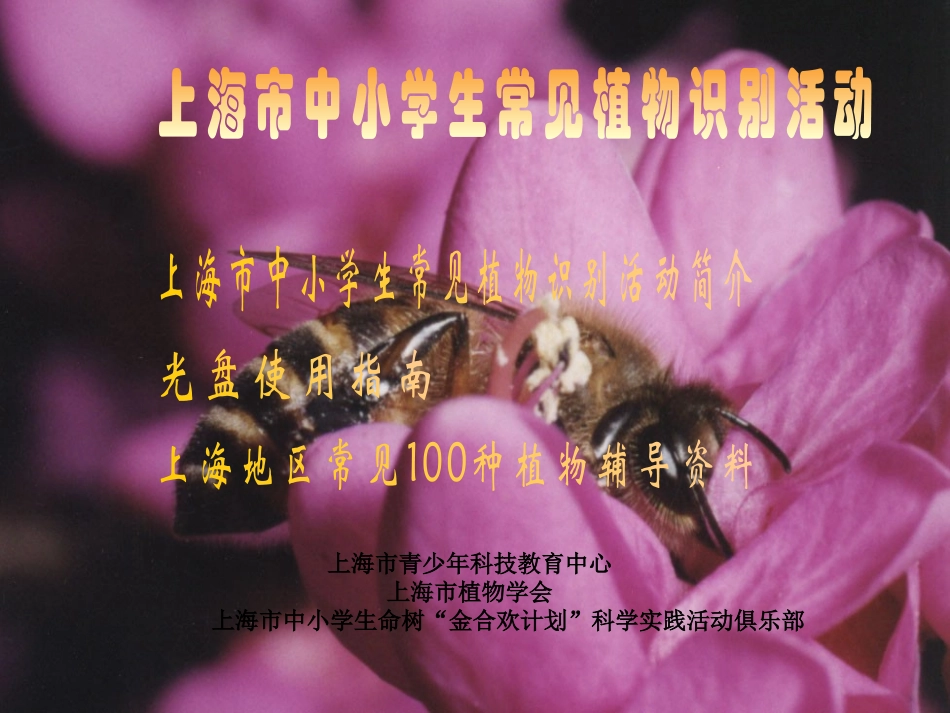 上海地区常见100种植物1_第1页