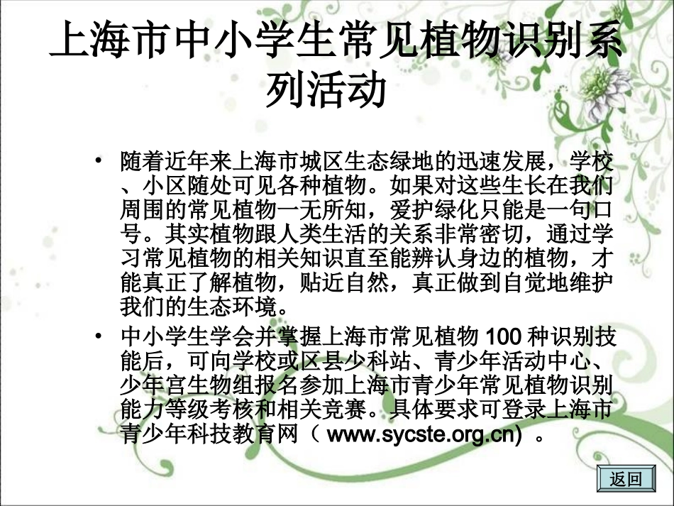 上海地区常见100种植物1_第2页