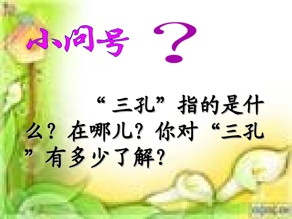 三孔。ppt_第2页