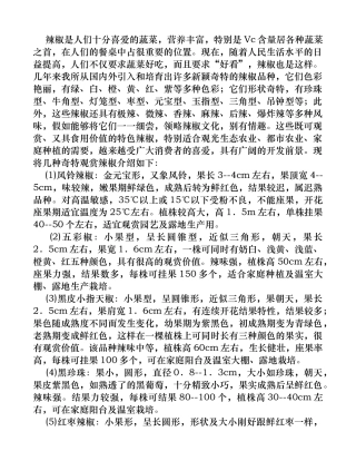 七种观赏辣椒新品
