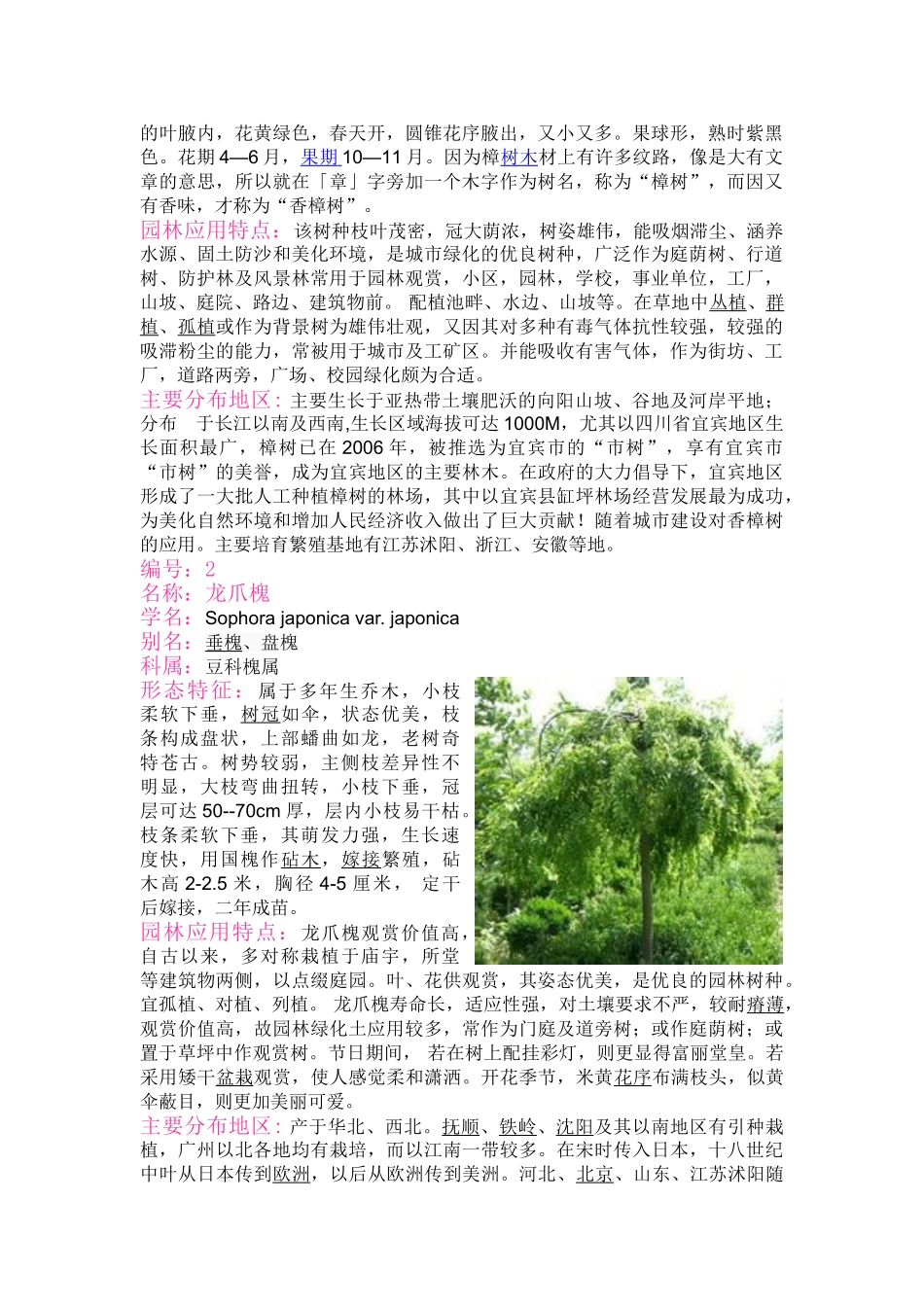 万巧20常绿20落叶_第2页