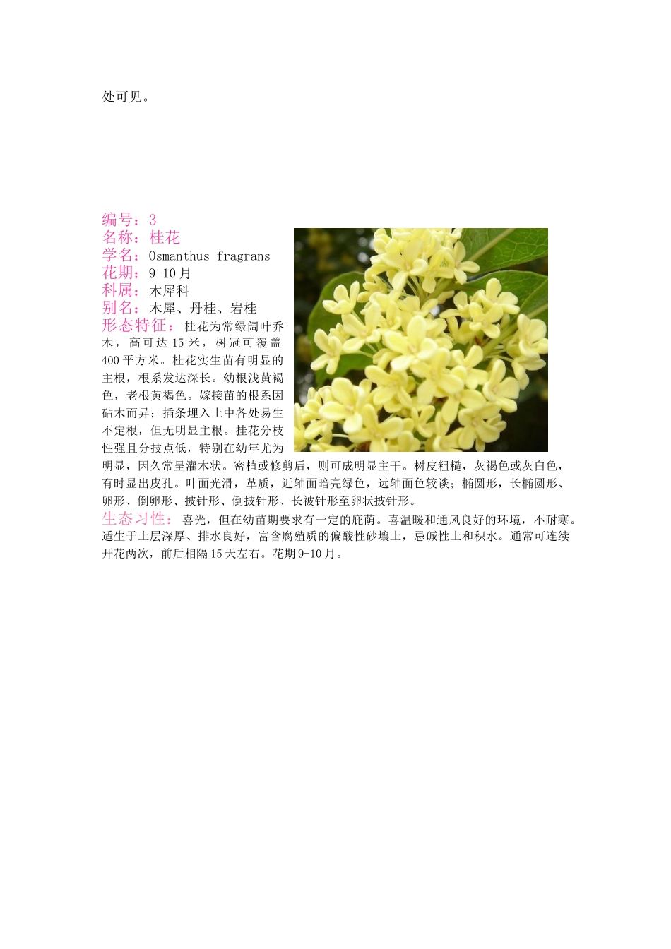 万巧20常绿20落叶_第3页