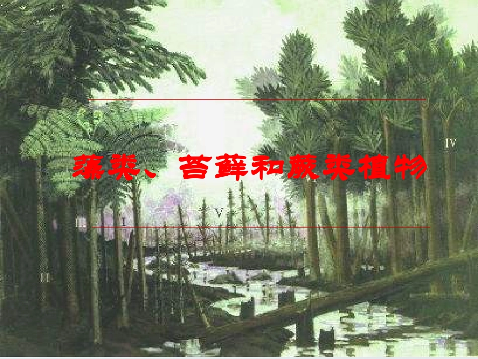七年级生物藻类苔藓和蕨类植物_第1页