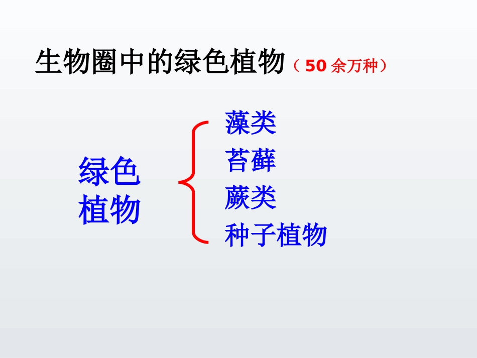 七年级生物藻类苔藓和蕨类植物_第2页