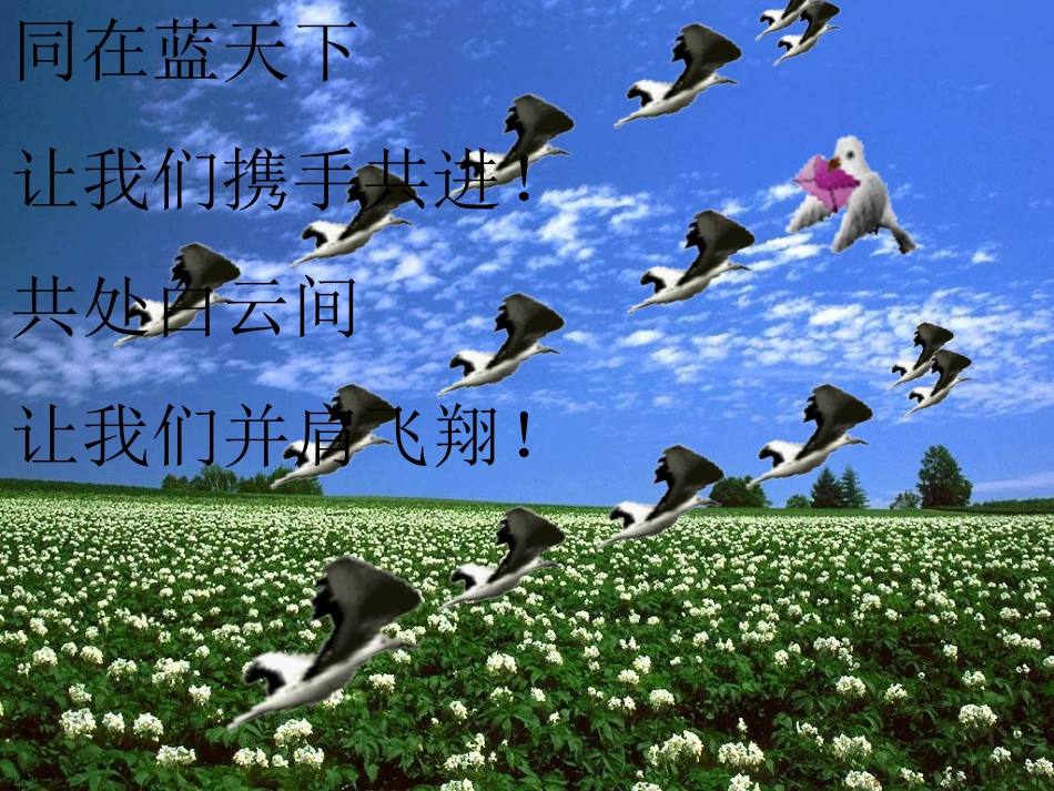 七年级数学图形的平移与旋转_第1页