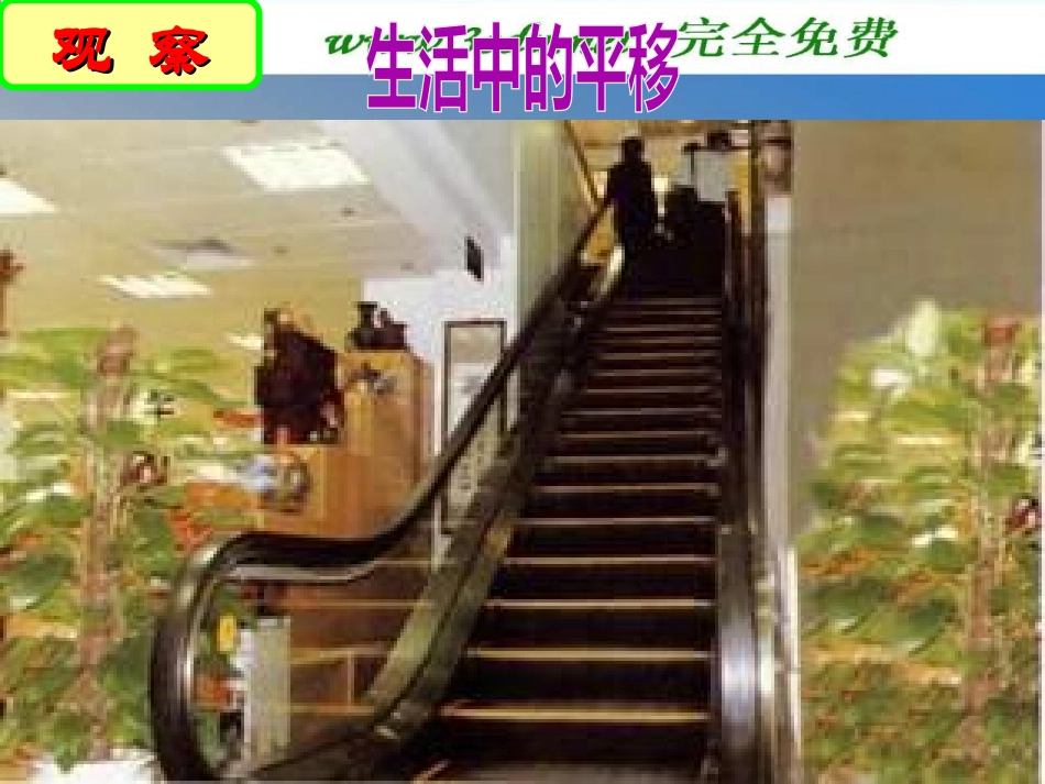 七年级数学图形的平移与旋转_第3页
