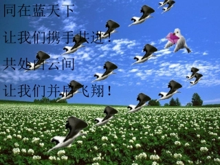 七年级数学图形的平移与旋转