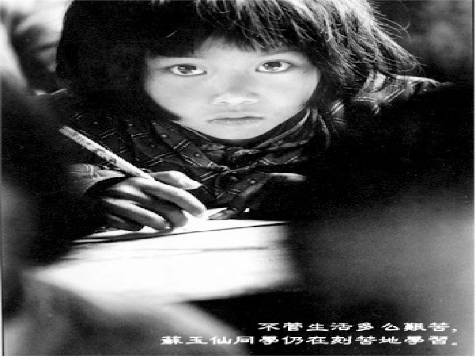 七年级数学下册6.3实践与探索课件3华东师大版_第2页